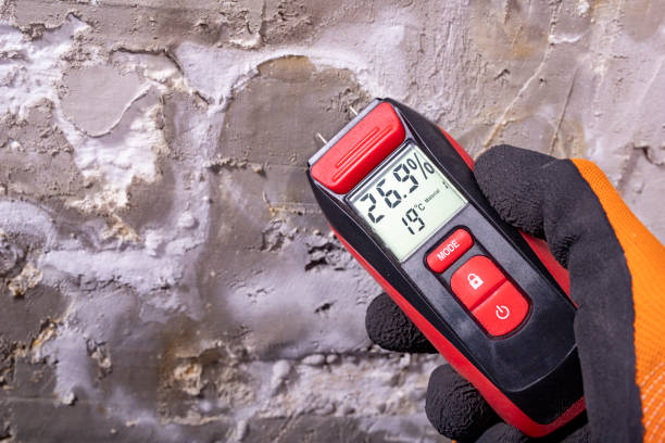 Best Mold Remediation for Schools in Baraga, MI