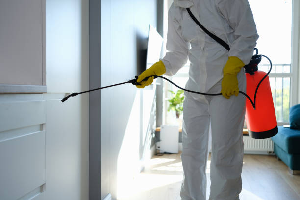 Best Post-Flood Mold Remediation in Baraga, MI