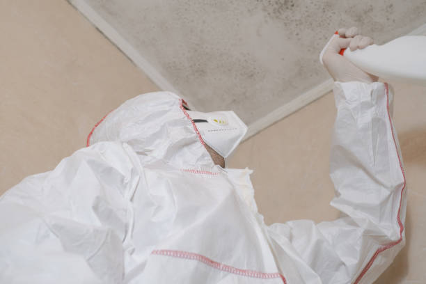 Best Commercial Mold Remediation in Baraga, MI