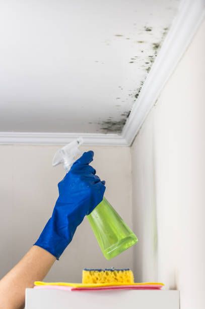 Baraga, MI Mold Remediation Company